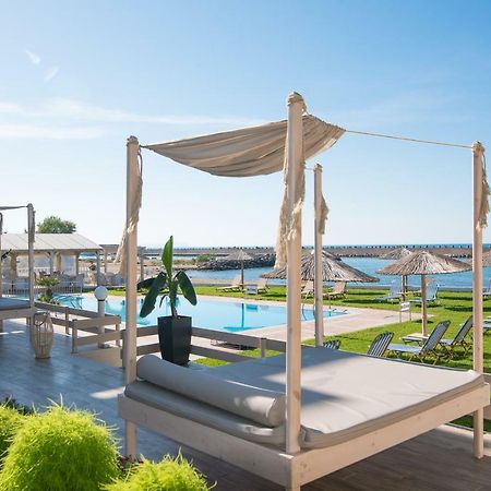 Silver Sun Studios&Apartments Malia Exterior foto