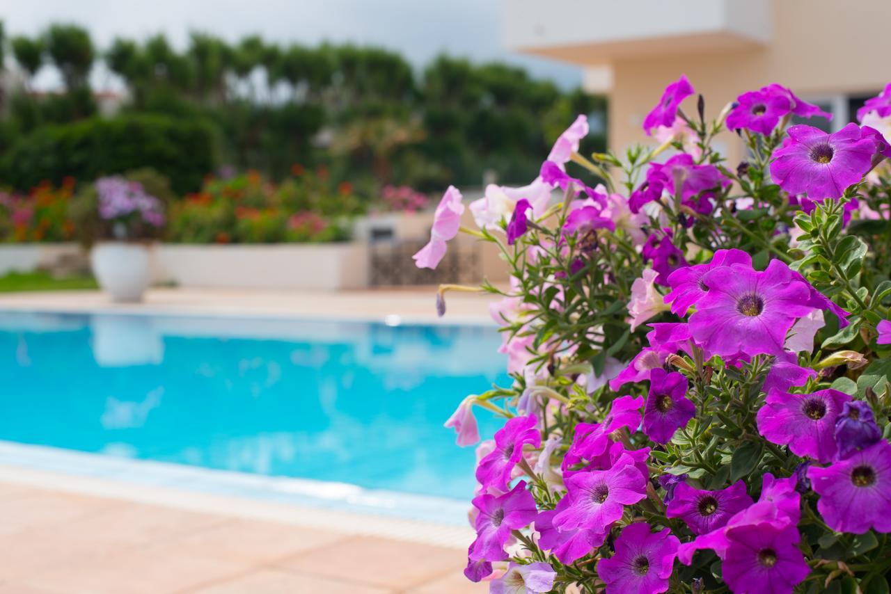 Silver Sun Studios&Apartments Malia Exterior foto